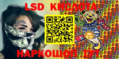 PSILOCYBIN Новозыбков
