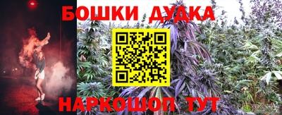 PSILOCYBIN Новозыбков