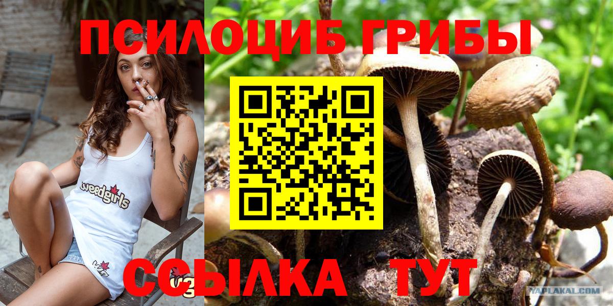 Новотроицк  купить  цена  Вход с VPN  Галлюциногенные грибы Cubensis  Галлюциногенные грибы Psilocybine cubensis 